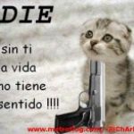 leo rodrges